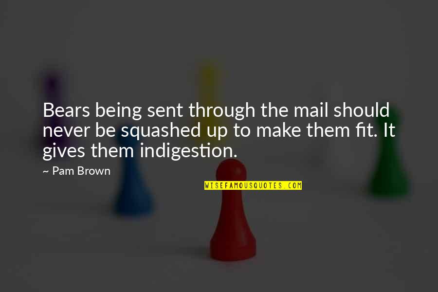 Being Fit Quotes By Pam Brown: Bears being sent through the mail should never