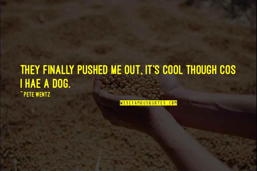 Being Focused Tumblr Quotes By Pete Wentz: They finally pushed me out, It's cool though