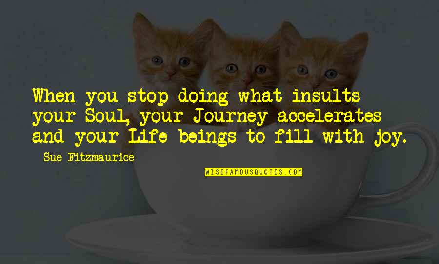 Being Fooled By Someone Quotes By Sue Fitzmaurice: When you stop doing what insults your Soul,