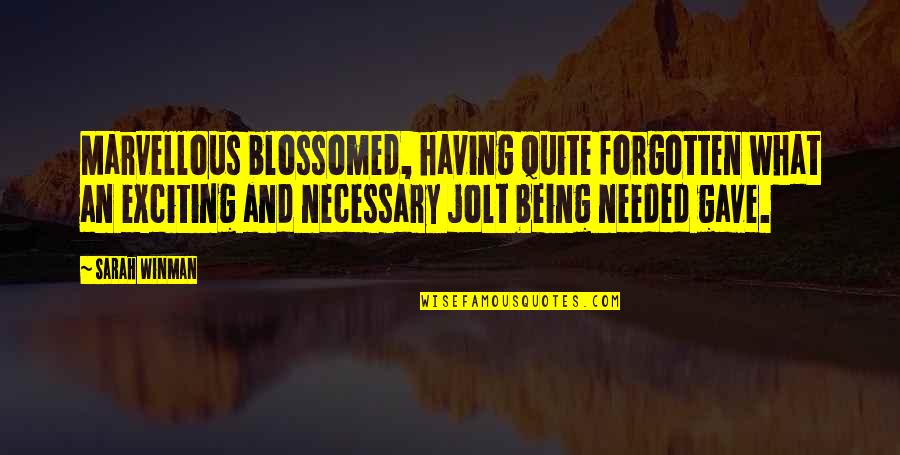Being Forgotten Quotes By Sarah Winman: Marvellous blossomed, having quite forgotten what an exciting Being Forgotten Quotes By Sarah Winman: Marvellous blossomed, having quite forgotten what an exciting