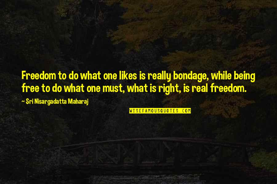 Being Free From Bondage Quotes By Sri Nisargadatta Maharaj: Freedom to do what one likes is really
