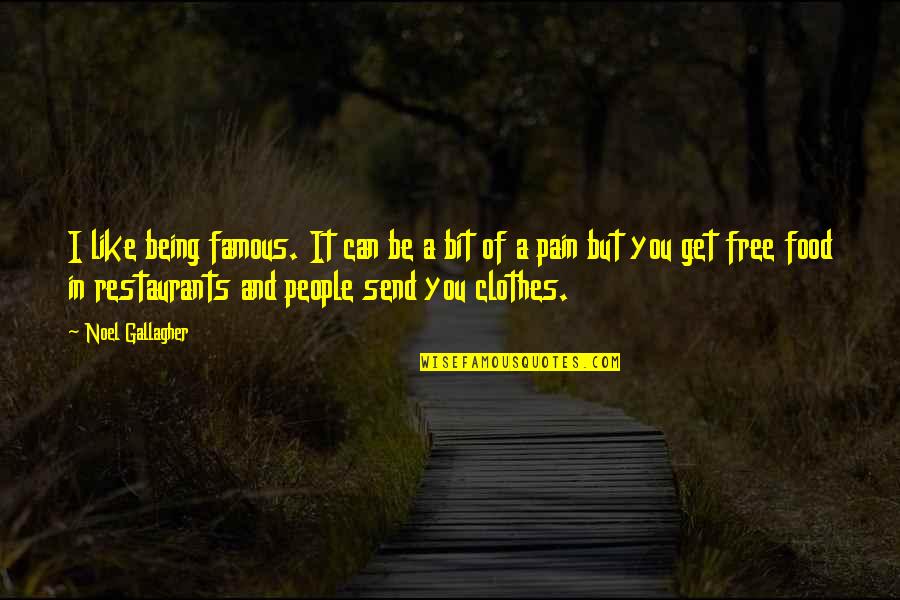 Being Free From Pain Quotes By Noel Gallagher: I like being famous. It can be a
