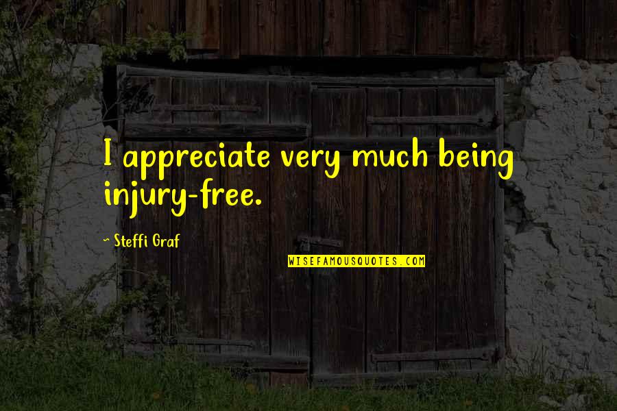 Being Free Quotes By Steffi Graf: I appreciate very much being injury-free.