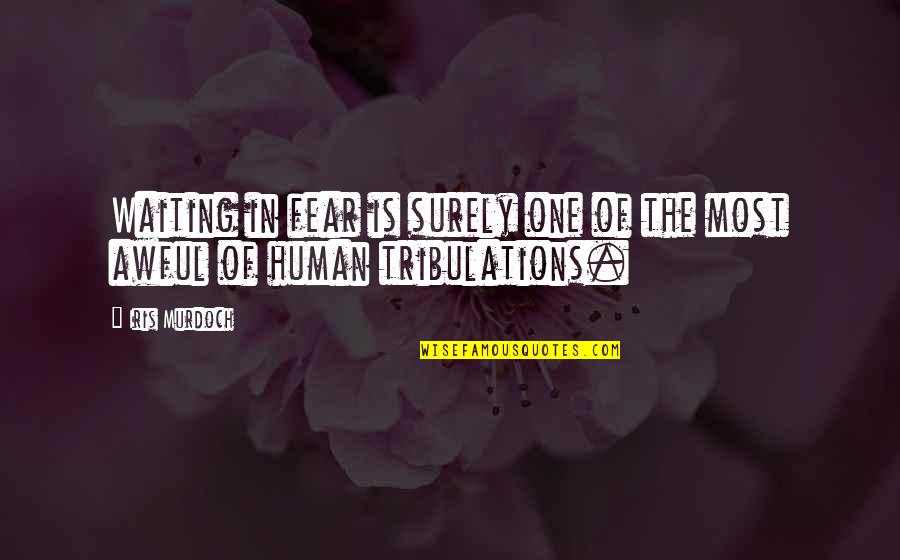 Being Freed From Prison Quotes By Iris Murdoch: Waiting in fear is surely one of the