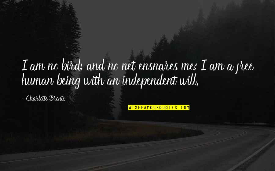 Being Freedom Quotes By Charlotte Bronte: I am no bird; and no net ensnares