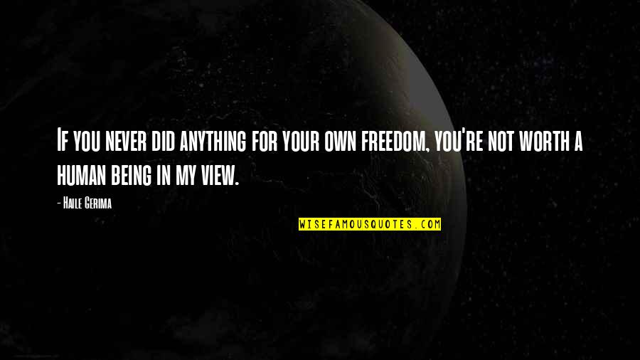 Being Freedom Quotes By Haile Gerima: If you never did anything for your own