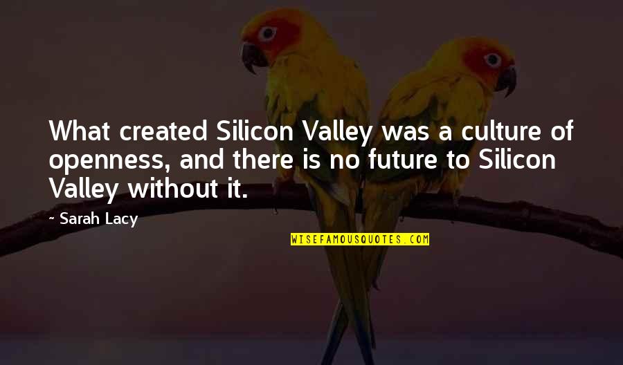 Being Friends Then Strangers Quotes By Sarah Lacy: What created Silicon Valley was a culture of