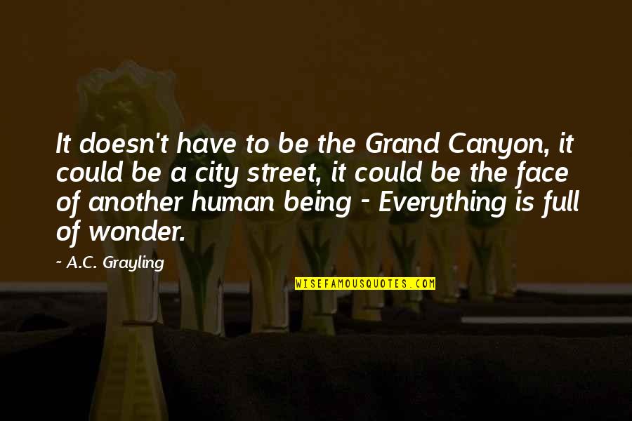 Being Full Quotes By A.C. Grayling: It doesn't have to be the Grand Canyon, Being Full Quotes By A.C. Grayling: It doesn't have to be the Grand Canyon,