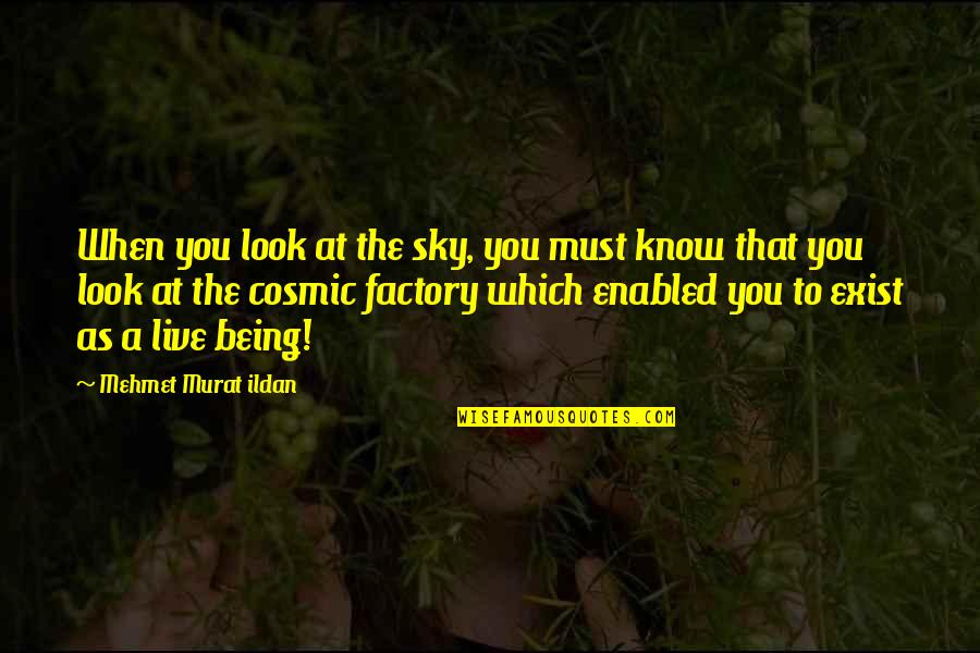 Being Genius Quotes By Mehmet Murat Ildan: When you look at the sky, you must Being Genius Quotes By Mehmet Murat Ildan: When you look at the sky, you must