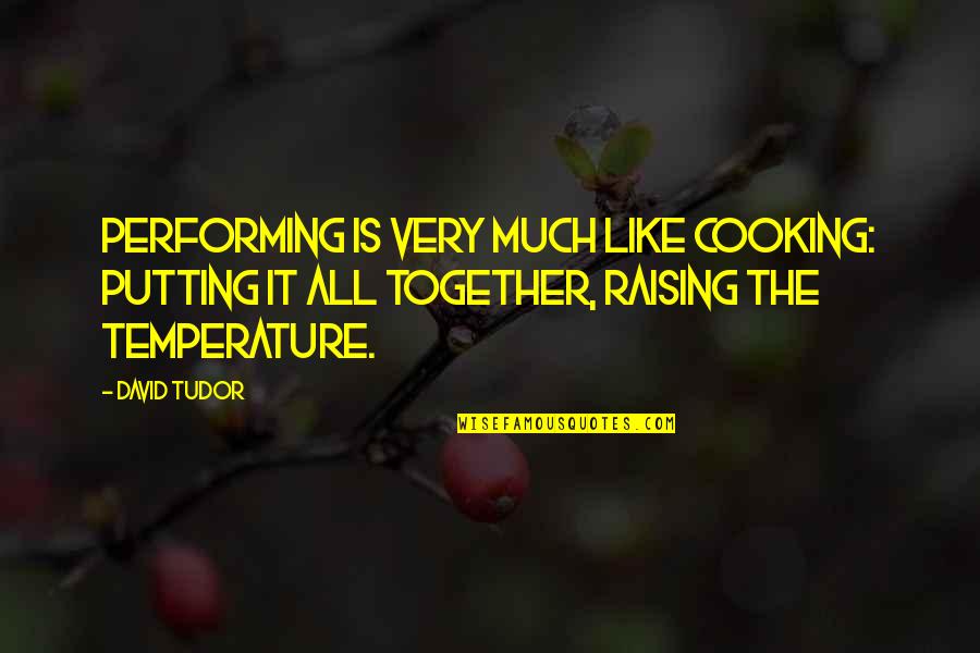 Being Giddy Quotes By David Tudor: Performing is very much like cooking: putting it