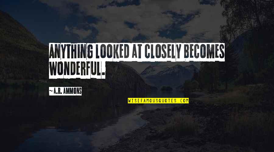 Being Gone And Coming Back Quotes By A.R. Ammons: Anything looked at closely becomes wonderful.