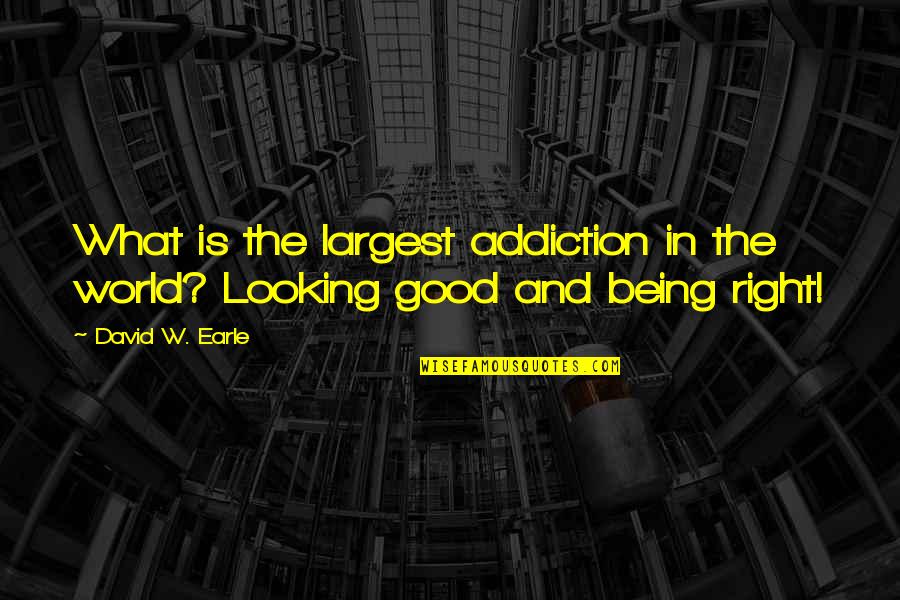 Being Good Looking Quotes By David W. Earle: What is the largest addiction in the world?