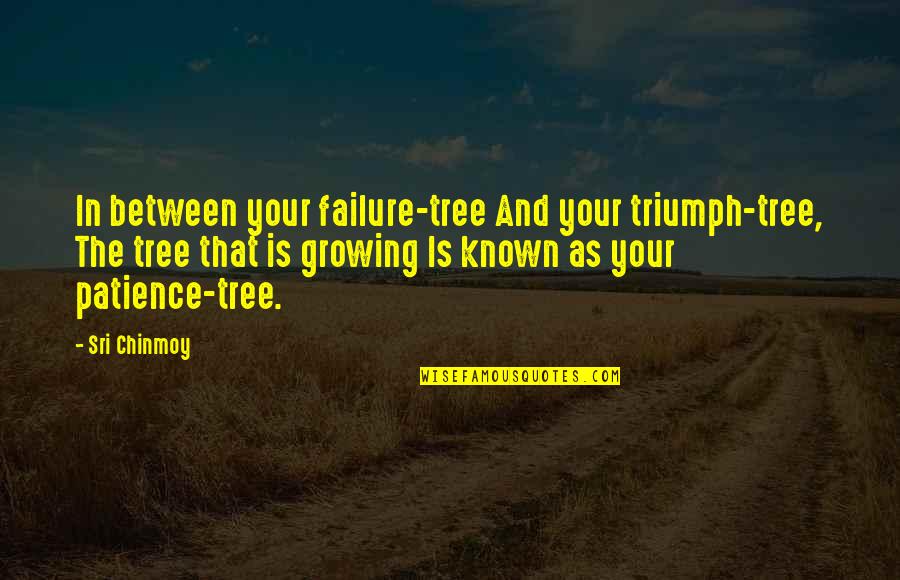 Being Grateful And Blessed Quotes By Sri Chinmoy: In between your failure-tree And your triumph-tree, The