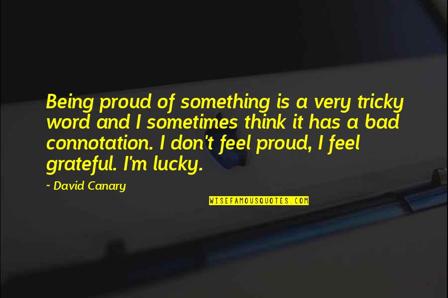 Being Grateful Quotes By David Canary: Being proud of something is a very tricky