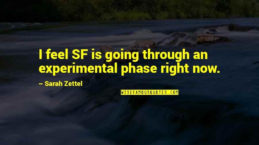 Being Happy In Love With Him Quotes By Sarah Zettel: I feel SF is going through an experimental