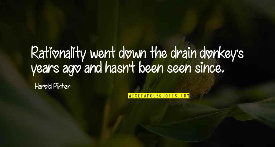Being Happy Makes You Beautiful Quotes By Harold Pinter: Rationality went down the drain donkey's years ago