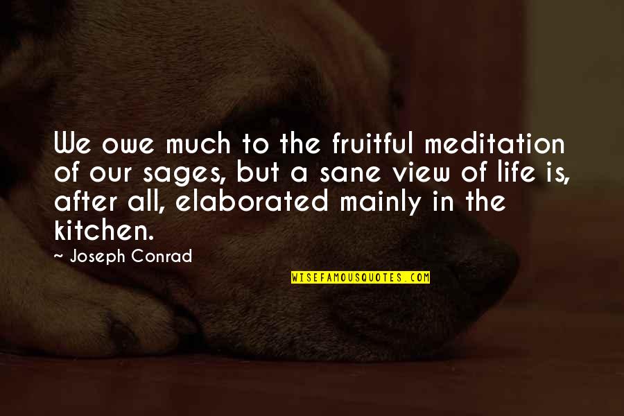 Being Happy With Everything Quotes By Joseph Conrad: We owe much to the fruitful meditation of