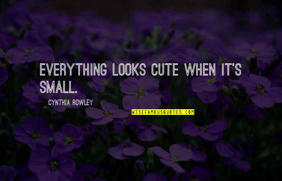 Being Hard On Ourselves Quotes By Cynthia Rowley: Everything looks cute when it's small.