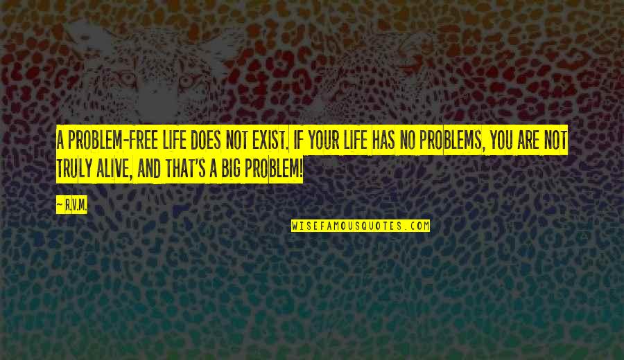 Being Hard On The Outside And Soft On The Inside Quotes By R.v.m.: A problem-free life does not exist. If your