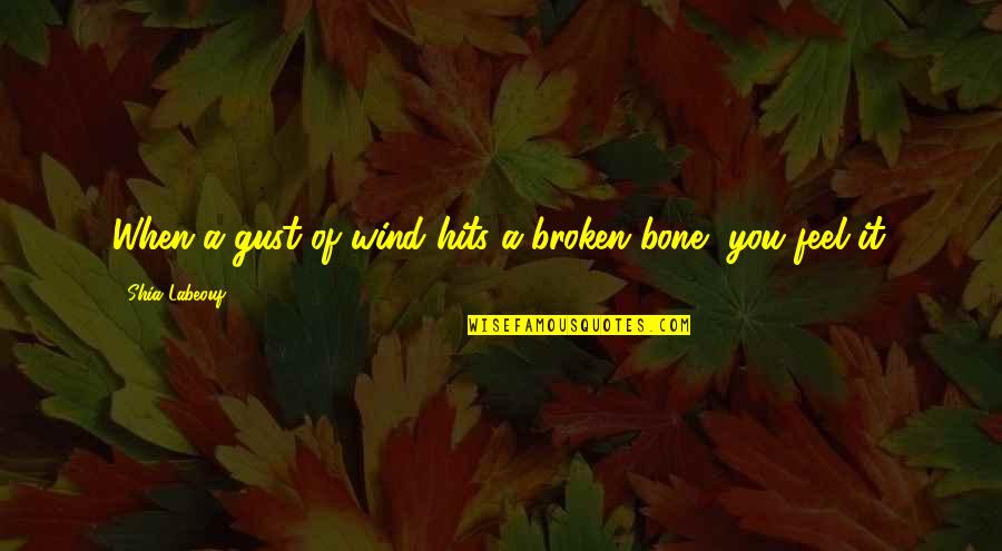 Being High On Weed Quotes By Shia Labeouf: When a gust of wind hits a broken Being High On Weed Quotes By Shia Labeouf: When a gust of wind hits a broken