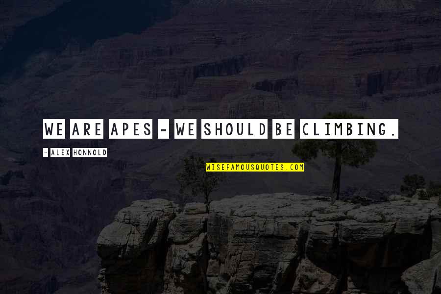 Being His Second Choice Quotes By Alex Honnold: We are apes - we should be climbing.