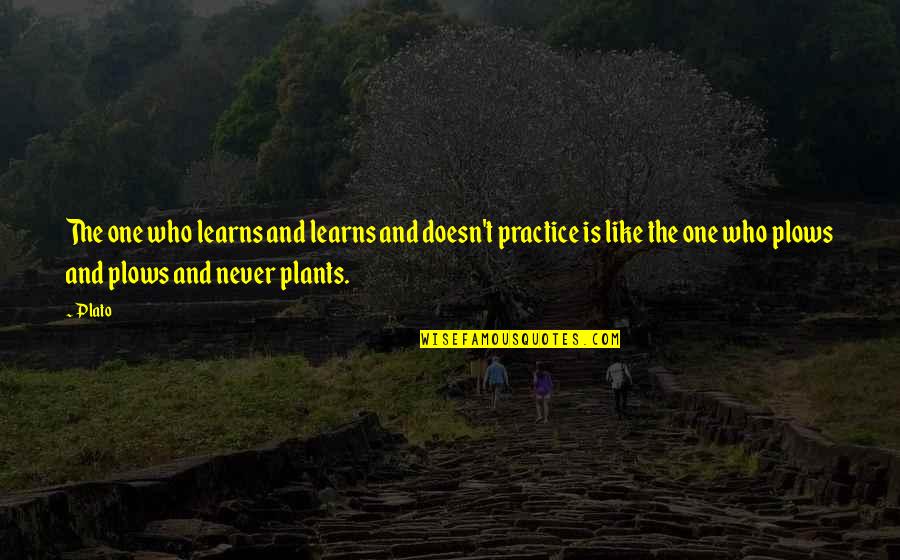 Being His Second Choice Quotes By Plato: The one who learns and learns and doesn't