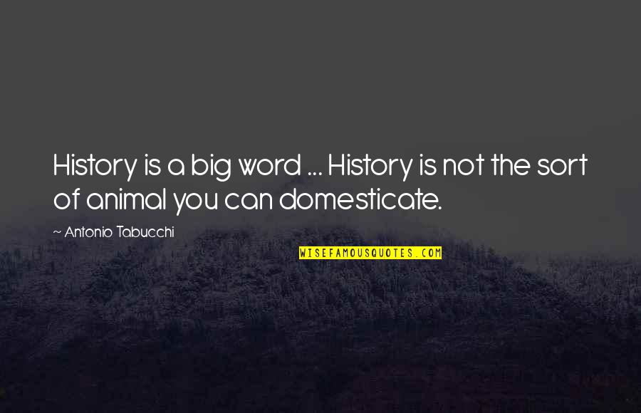 Being Honest Love Quotes By Antonio Tabucchi: History is a big word ... History is