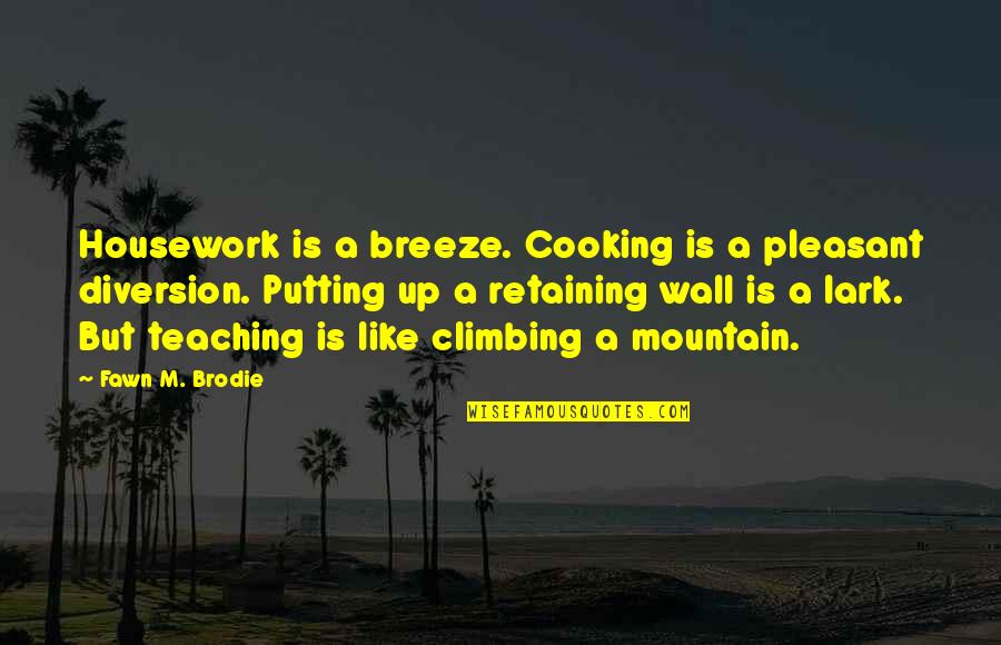 Being Hugged Quotes By Fawn M. Brodie: Housework is a breeze. Cooking is a pleasant