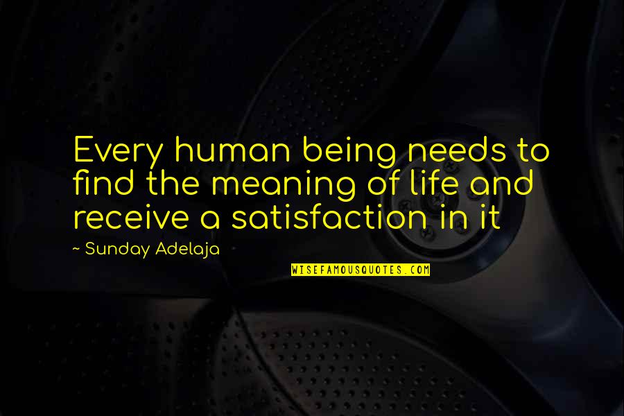 Being Human Life Quotes By Sunday Adelaja: Every human being needs to find the meaning