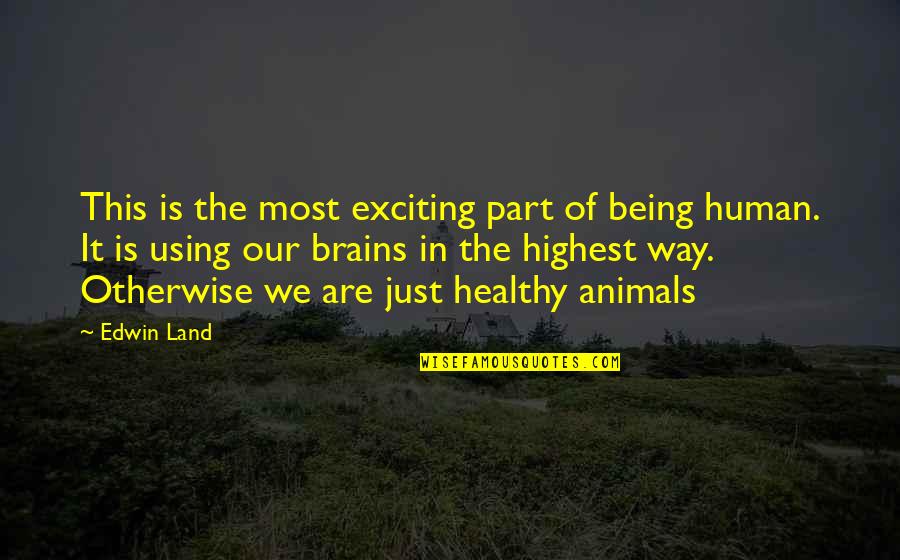 Being Human To Animals Quotes By Edwin Land: This is the most exciting part of being