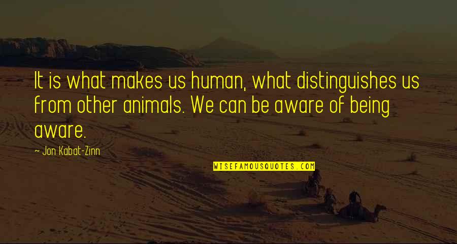 Being Human To Animals Quotes By Jon Kabat-Zinn: It is what makes us human, what distinguishes