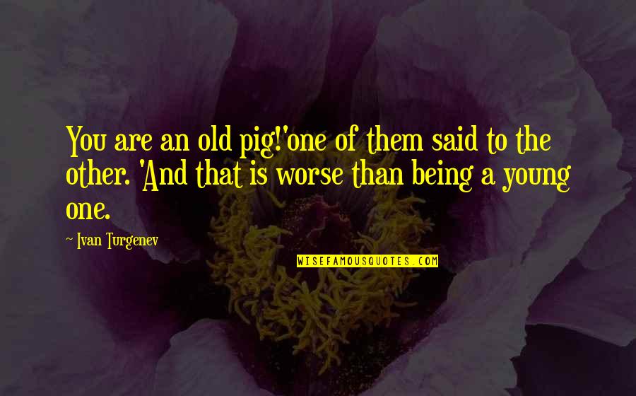 Being Humorous Quotes By Ivan Turgenev: You are an old pig!'one of them said
