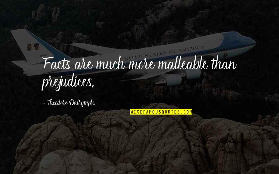 Being Hungover Tumblr Quotes By Theodore Dalrymple: Facts are much more malleable than prejudices. Being Hungover Tumblr Quotes By Theodore Dalrymple: Facts are much more malleable than prejudices.