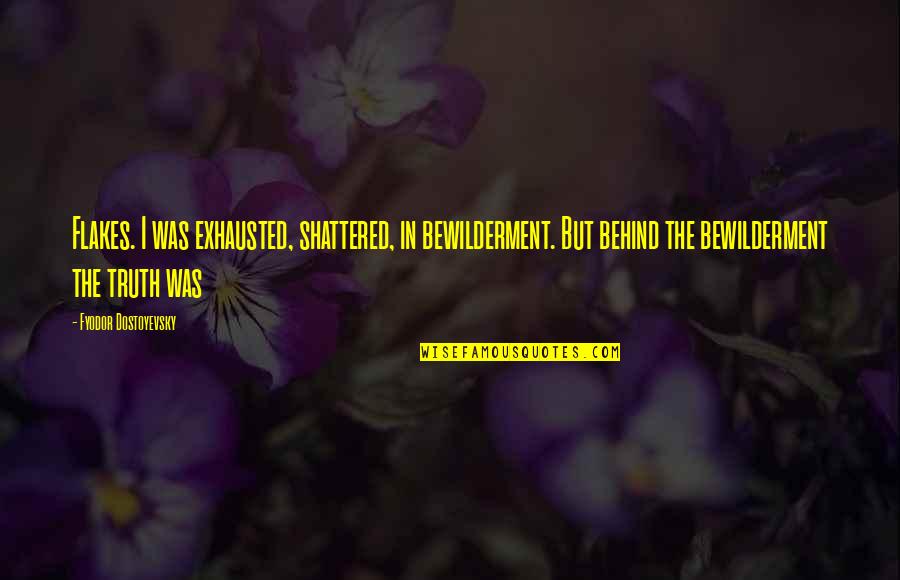 Being Hurt But Surviving Quotes By Fyodor Dostoyevsky: Flakes. I was exhausted, shattered, in bewilderment. But