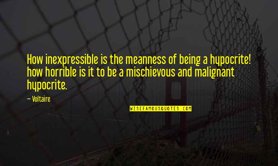 Being Hypocrite Quotes By Voltaire: How inexpressible is the meanness of being a