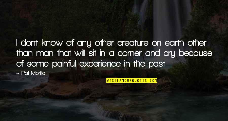 Being Ignored By Someone You Care About In Hindi Quotes By Pat Morita: I don't know of any other creature on