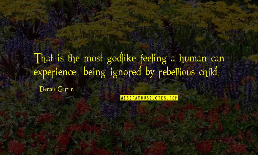 Being Ignored Quotes By Dennis Garvin: That is the most godlike feeling a human