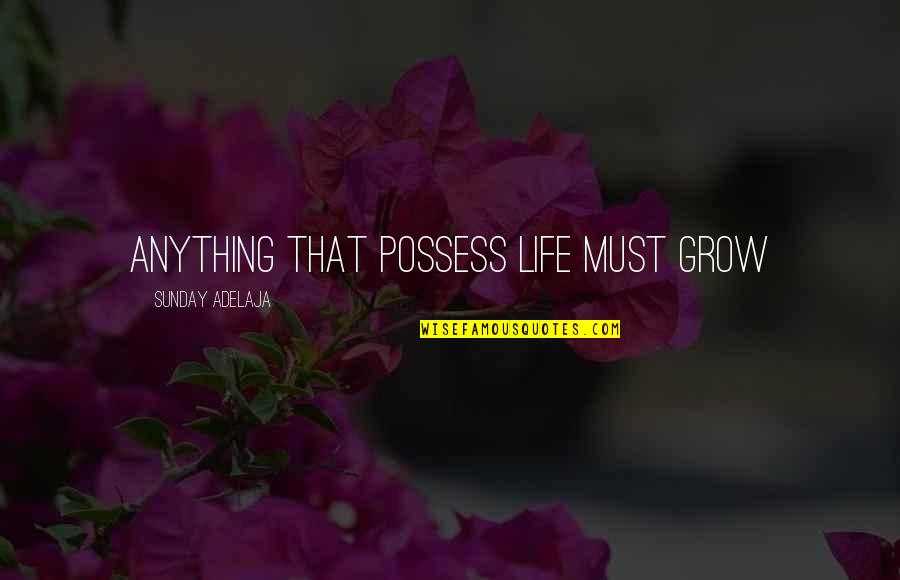 Being Important To A Child Quotes By Sunday Adelaja: Anything that possess life must grow