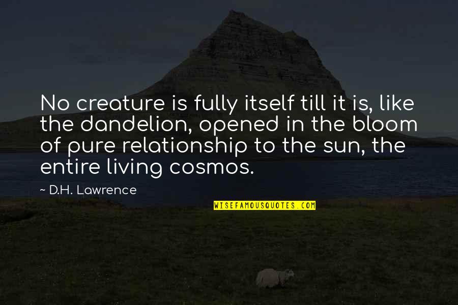 Being In A Relationship With Yourself Quotes By D.H. Lawrence: No creature is fully itself till it is,