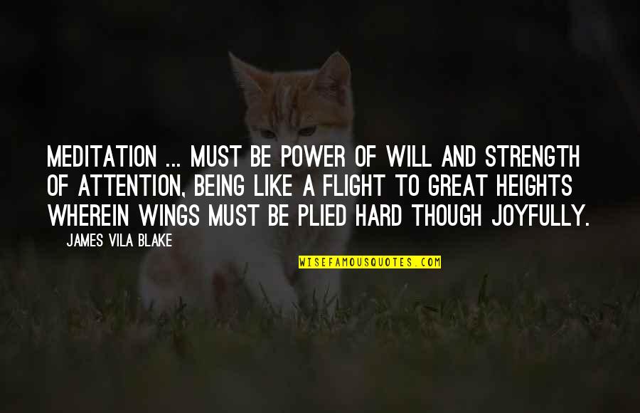 Being In Flight Quotes By James Vila Blake: Meditation ... must be power of will and