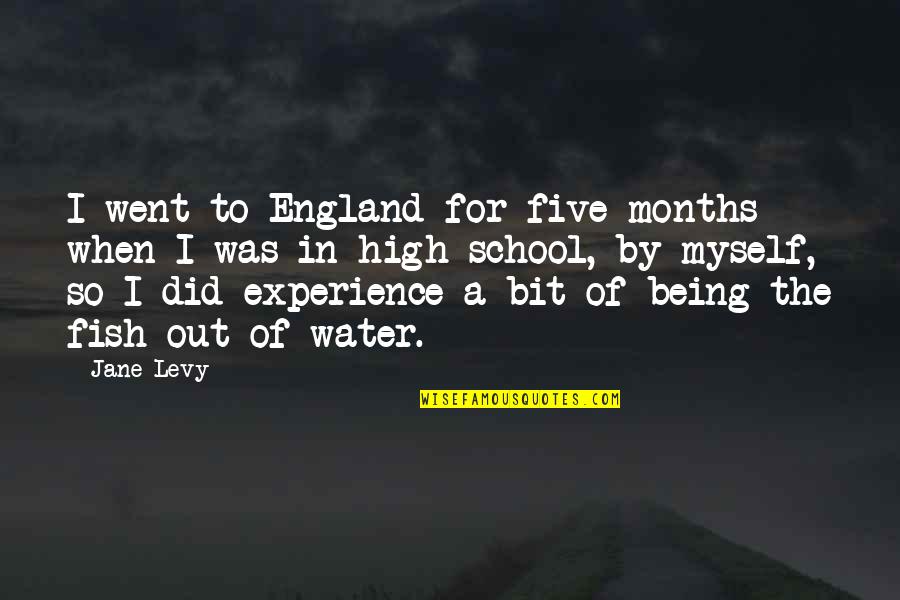 Being In High School Quotes By Jane Levy: I went to England for five months when