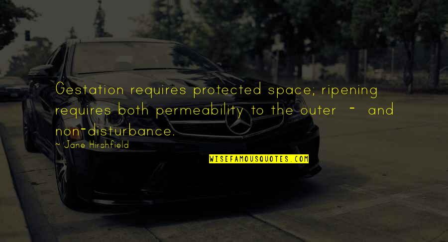 Being In Love With Two Person Quotes By Jane Hirshfield: Gestation requires protected space; ripening requires both permeability