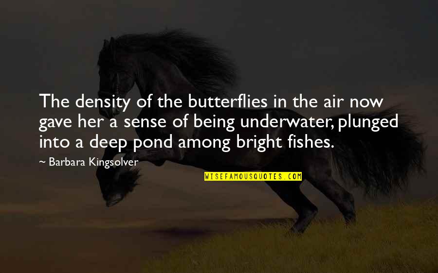 Being In Nature Quotes By Barbara Kingsolver: The density of the butterflies in the air