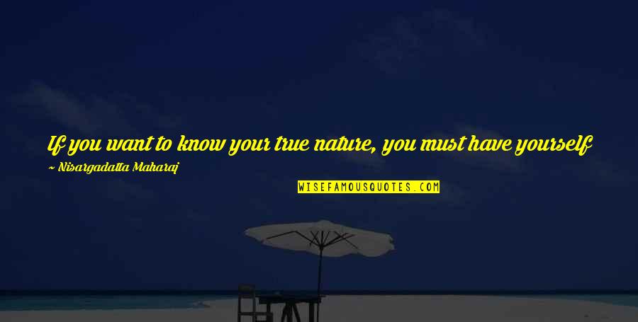 Being In Nature Quotes By Nisargadatta Maharaj: If you want to know your true nature,