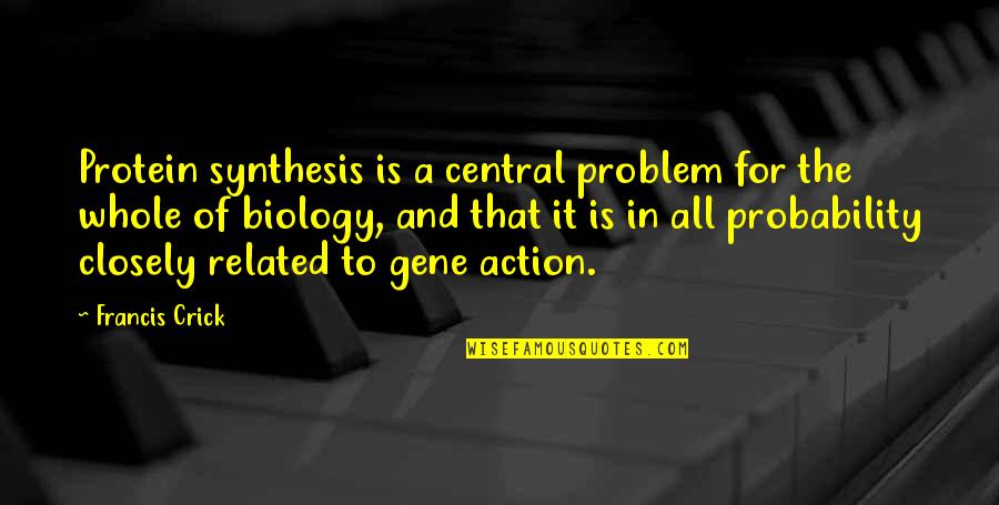 Being In Other People's Shoes Quotes By Francis Crick: Protein synthesis is a central problem for the