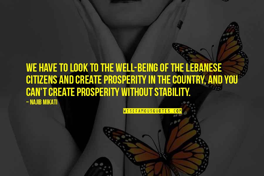 Being In The Country Quotes By Najib Mikati: We have to look to the well-being of Being In The Country Quotes By Najib Mikati: We have to look to the well-being of