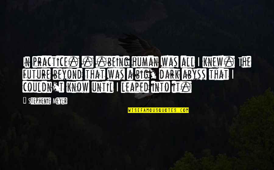 Being In The Dark Quotes By Stephenie Meyer: In practice. . .being human was all I