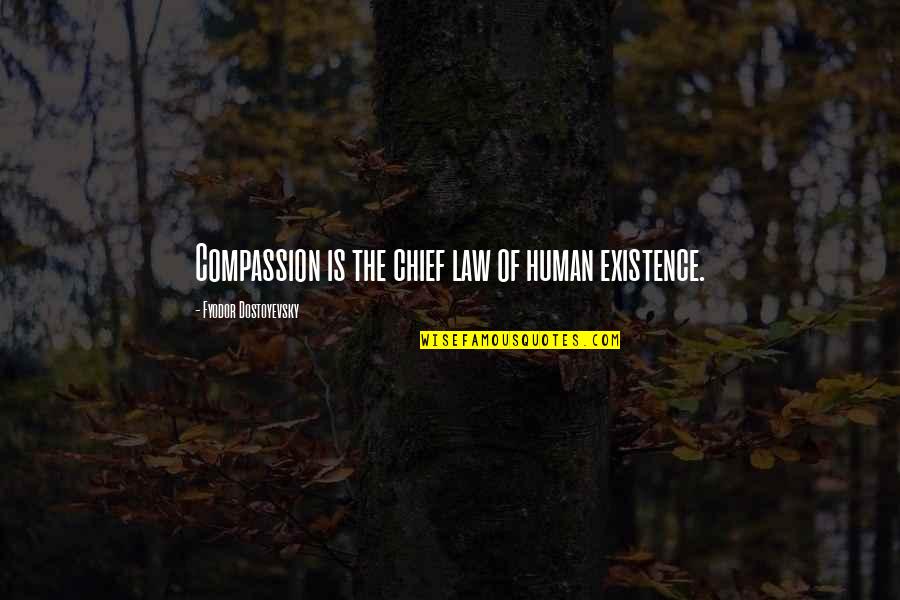 Being In The Zone Quotes By Fyodor Dostoyevsky: Compassion is the chief law of human existence.