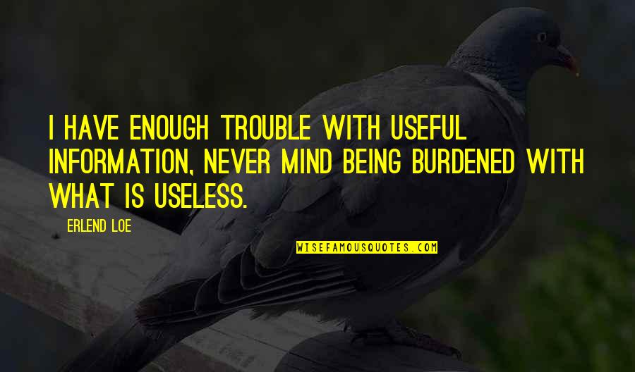 Being In Trouble Quotes By Erlend Loe: I have enough trouble with useful information, never