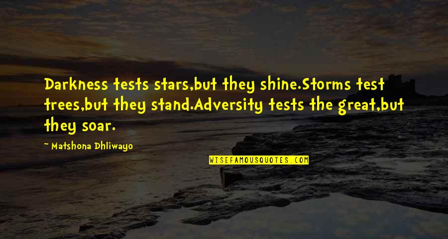 Being Injured Running Quotes By Matshona Dhliwayo: Darkness tests stars,but they shine.Storms test trees,but they